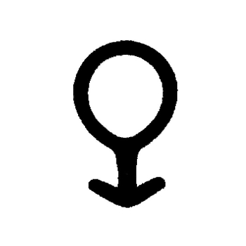 Schlauchdichtung in schwarz, 37072