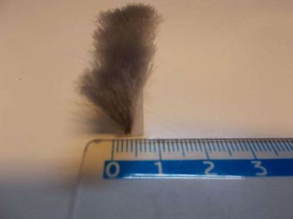 Bürstendichtung in grau, Fußbreite 0,67 mm, Bürstenhöhe incl. Trägerfuss 18 mm, 11111, R022/1