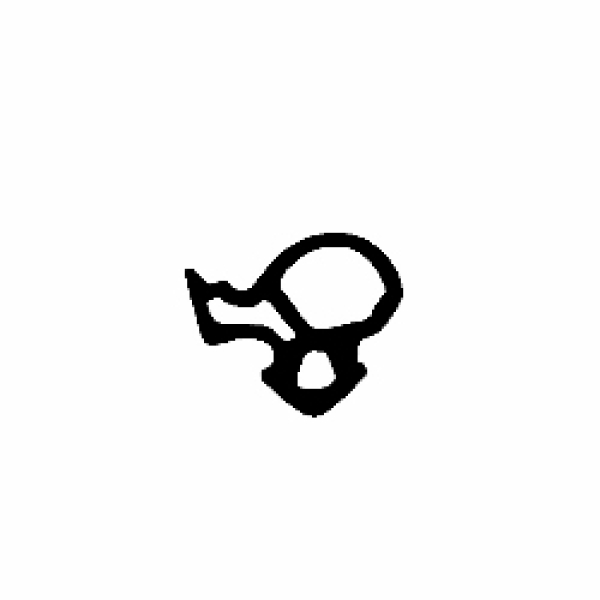 Schlauchdichtung in schwarz, 25772, R021/3