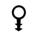 Holzzargendichtung 6,5 mm Durchmesser in schwarz, 20319